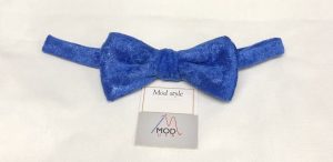 sprinkle blue bowtie