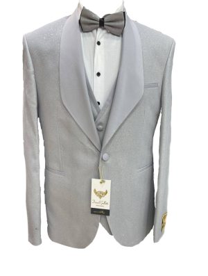 Gray Sparkly suit